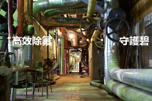 “高效除氟，守護碧水藍天——廢水中氟離子處理新篇章”